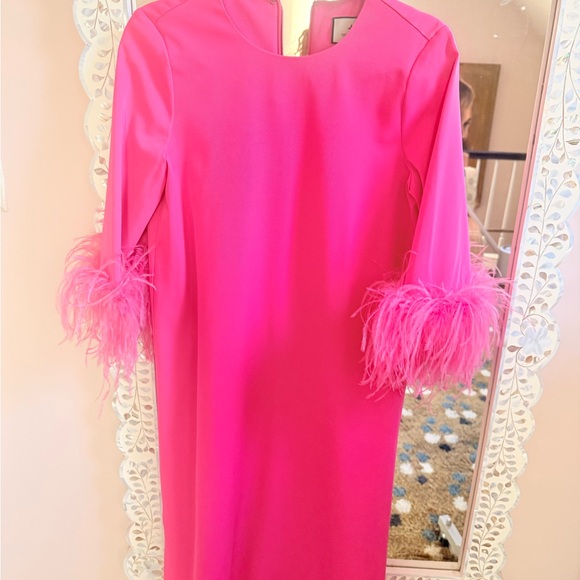 Tuckernuck Dresses & Skirts - Tuckernuck Bright Pink Shift Dress with Feather Cuff Detail